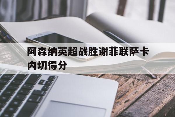 阿森纳英超战胜谢菲联萨卡内切得分